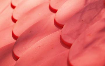 Peckleton plastic roof costs